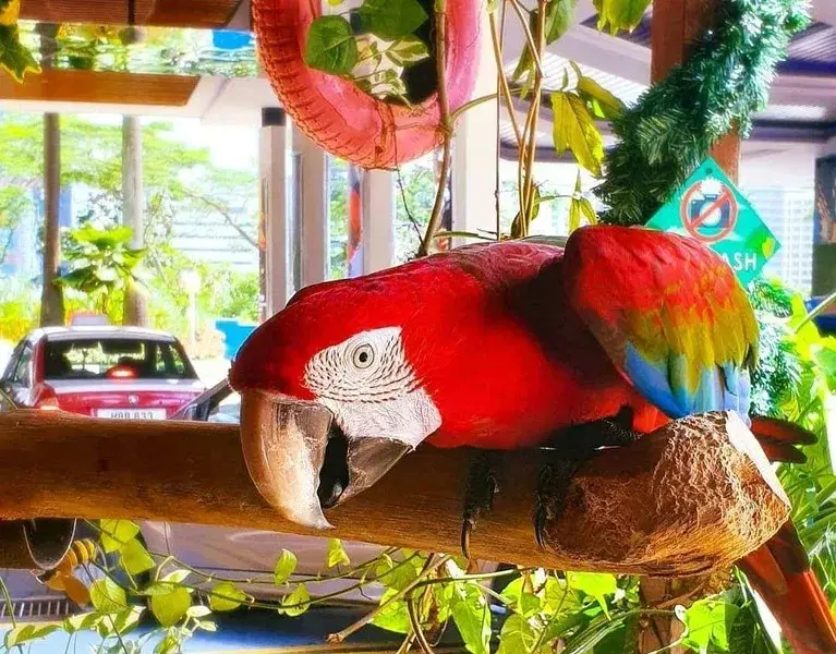 KL Tower Mini Zoo