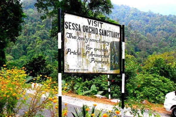 Sessa Orchid Sanctuary
