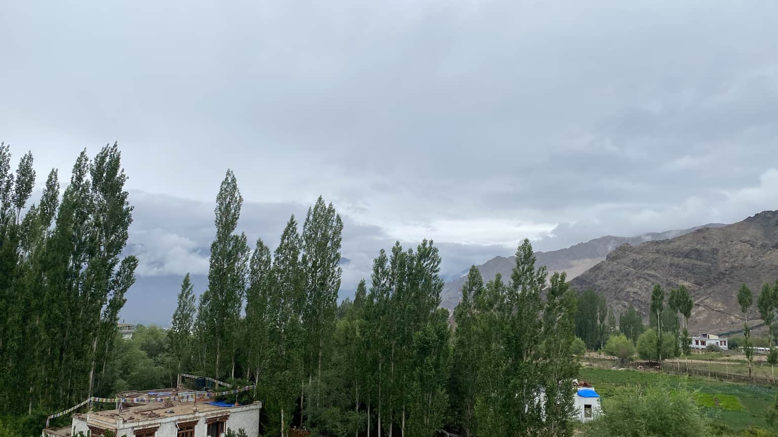 Photo from Nita 's trip