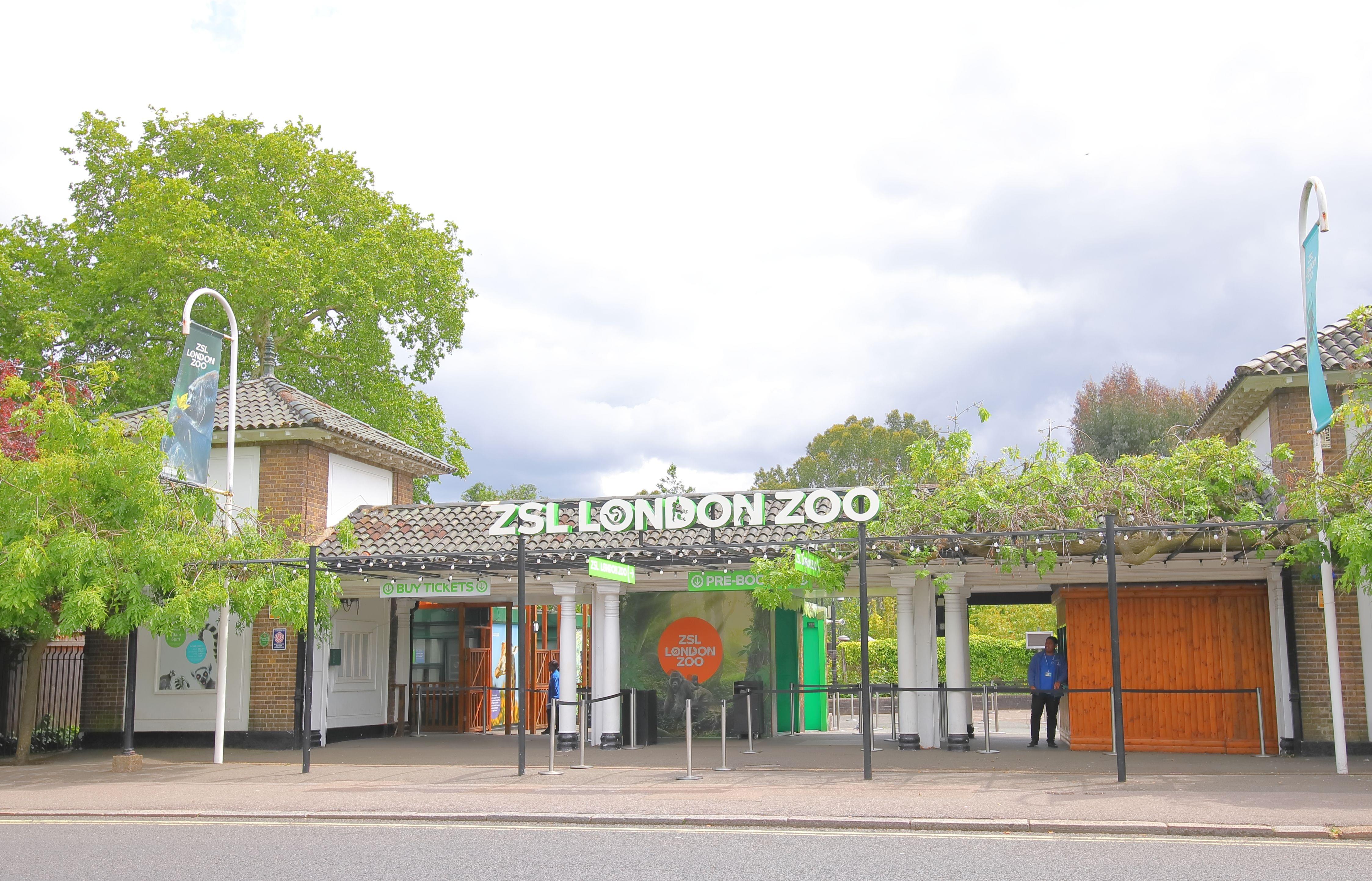 Zsl London Zoo Guide The Worlds Oldest Scientific Zoo