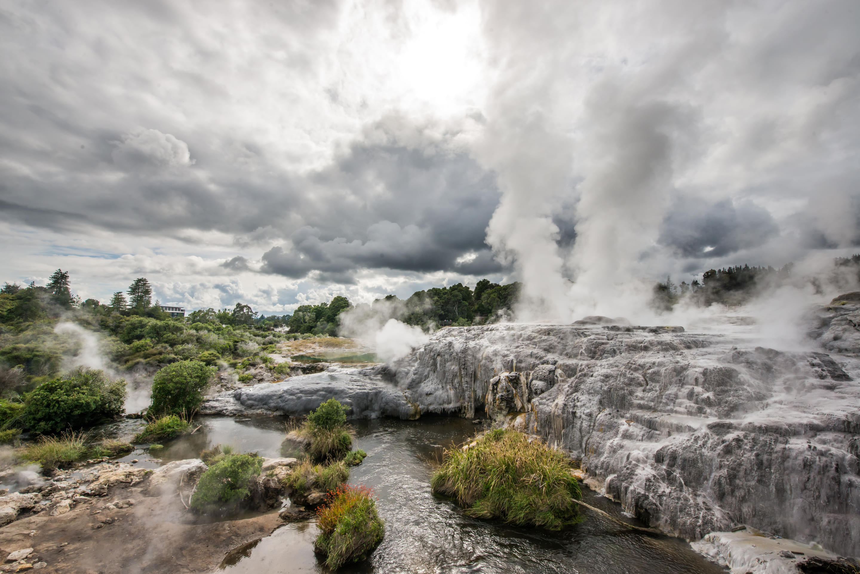 Whakarewarewa Geothermal Valley Overview