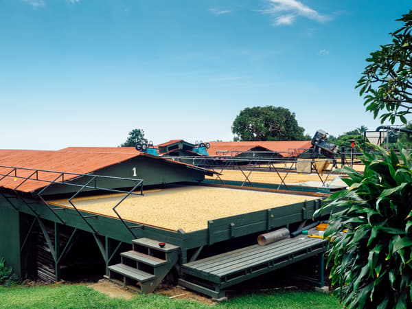 Kona Coffee Living History Farm