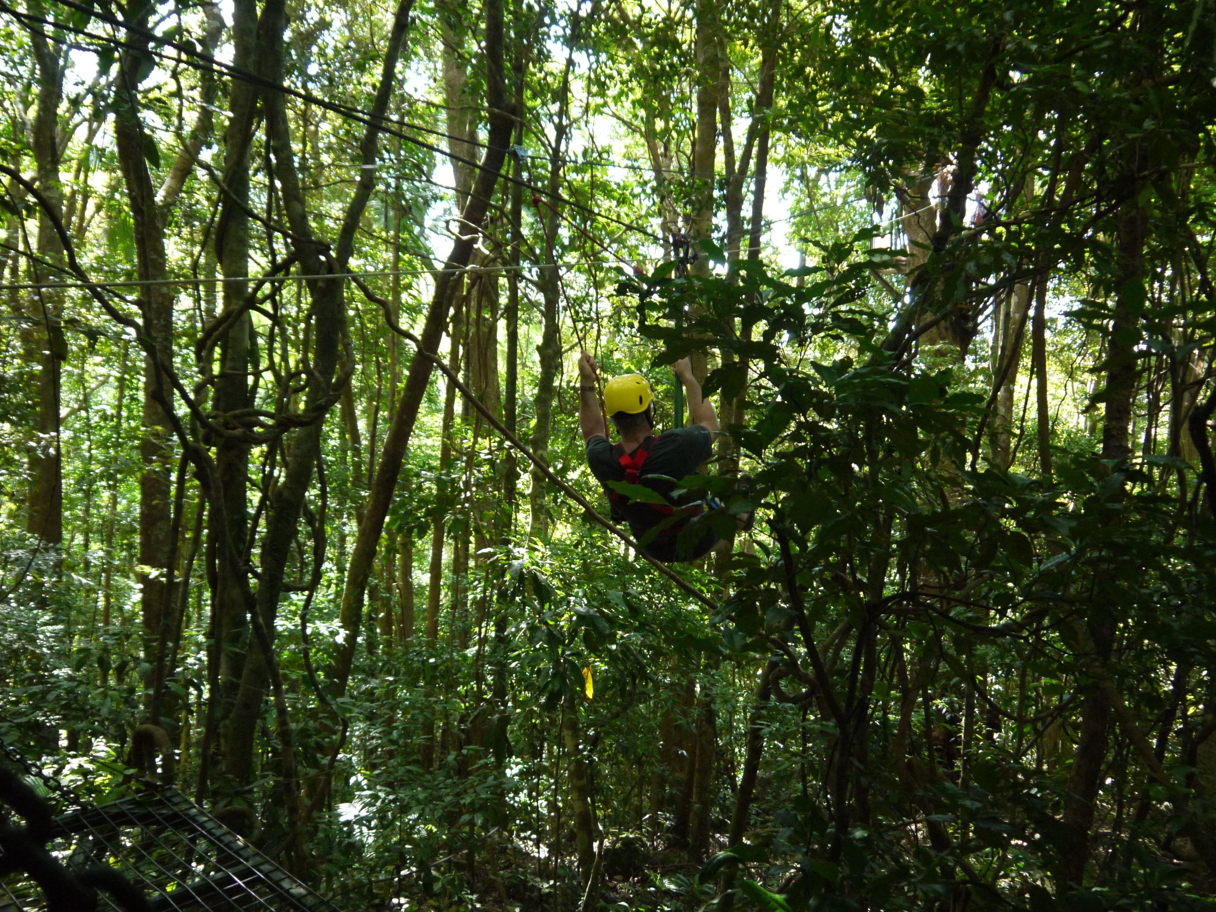 Zipline Gold Coast