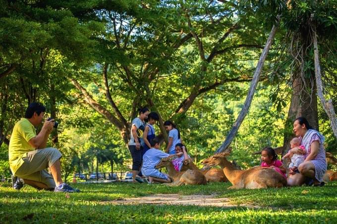 Elds Deer Park  in Khao Kheow Open Zoo