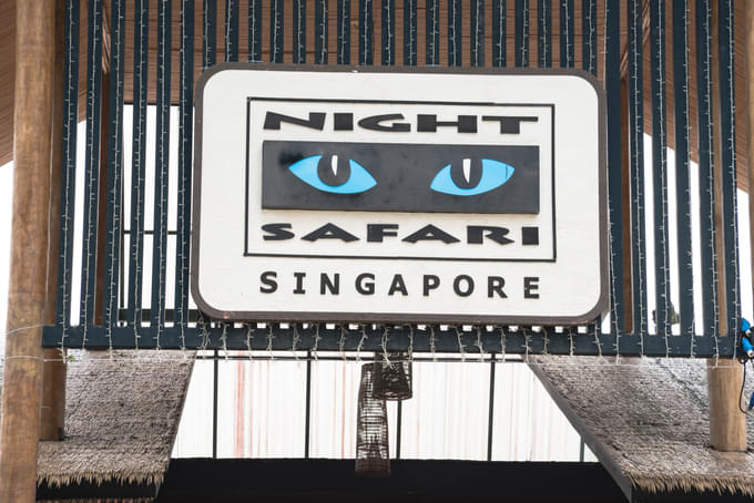 Night Safari Singapore