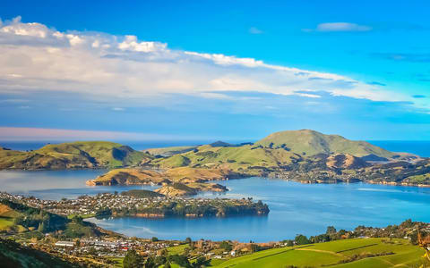 Best Places To Stay in Dunedin