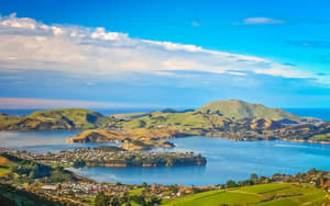 Dunedin