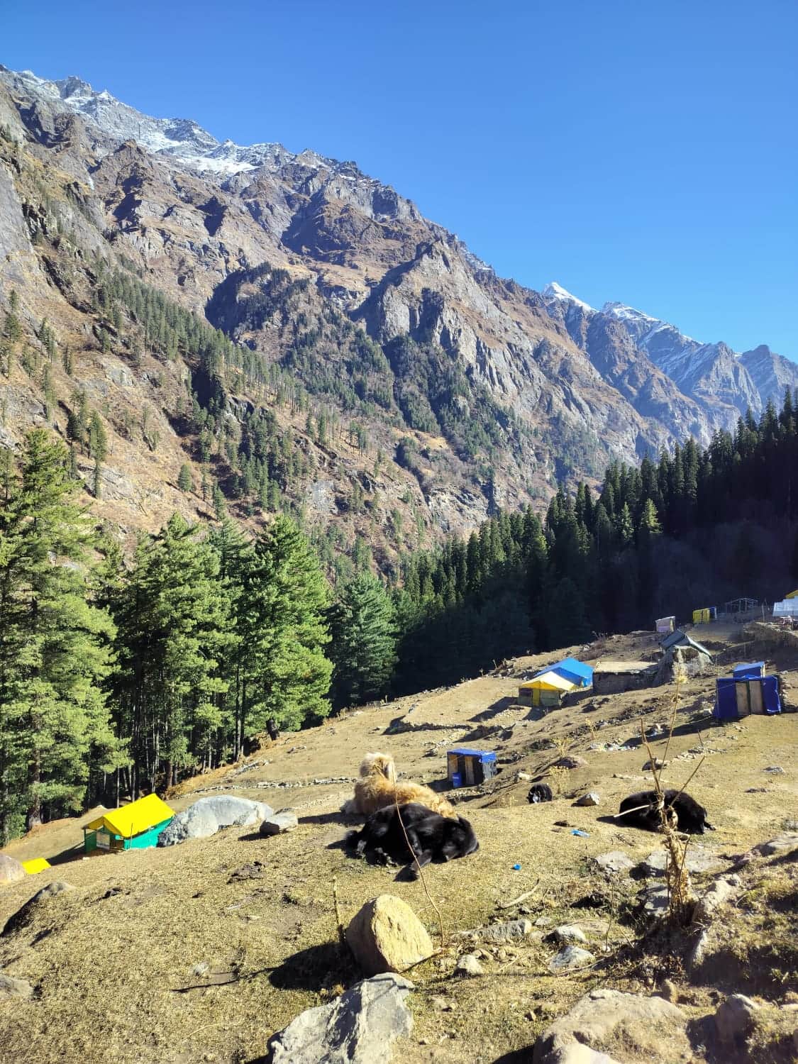 Photo from Hitesh Kumar's trip