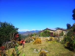 U9xhps64g3jr1kwjet1drw6ct69a 104322794