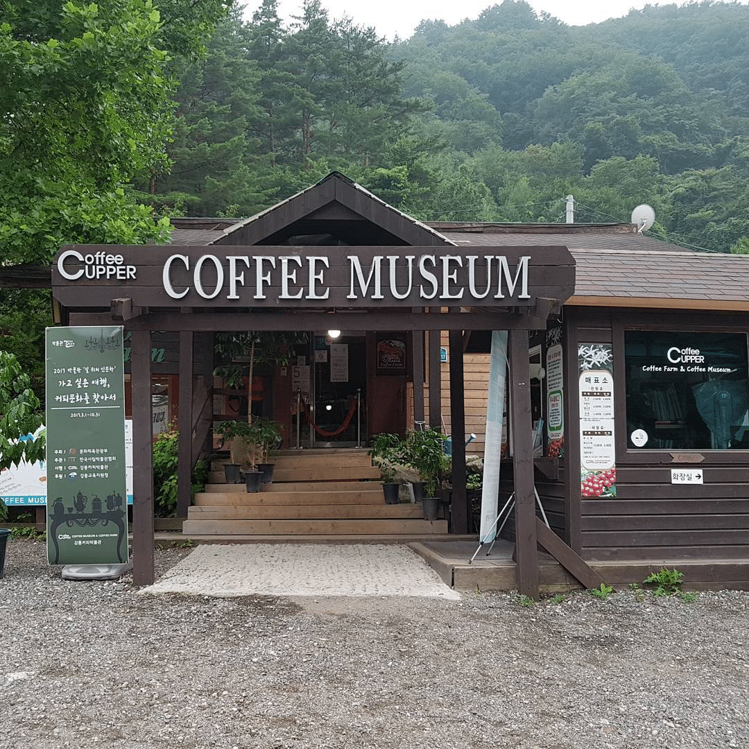Coffee Cupper Museum Overview
