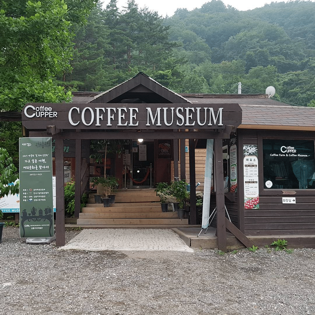 Coffee Cupper Museum Gangneung: How To Reach, Best Time & Tips