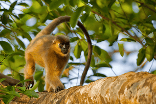 Uah1gnuo9uy3rb1bedk6oje4v3fj image%20(1)