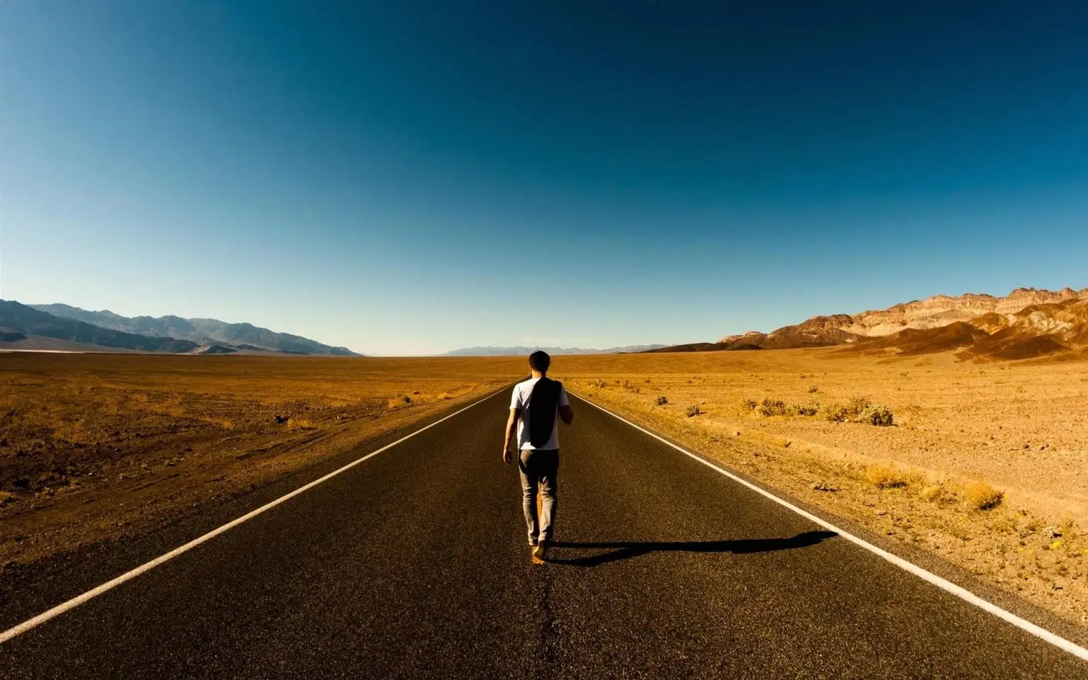 Best Walking Tours