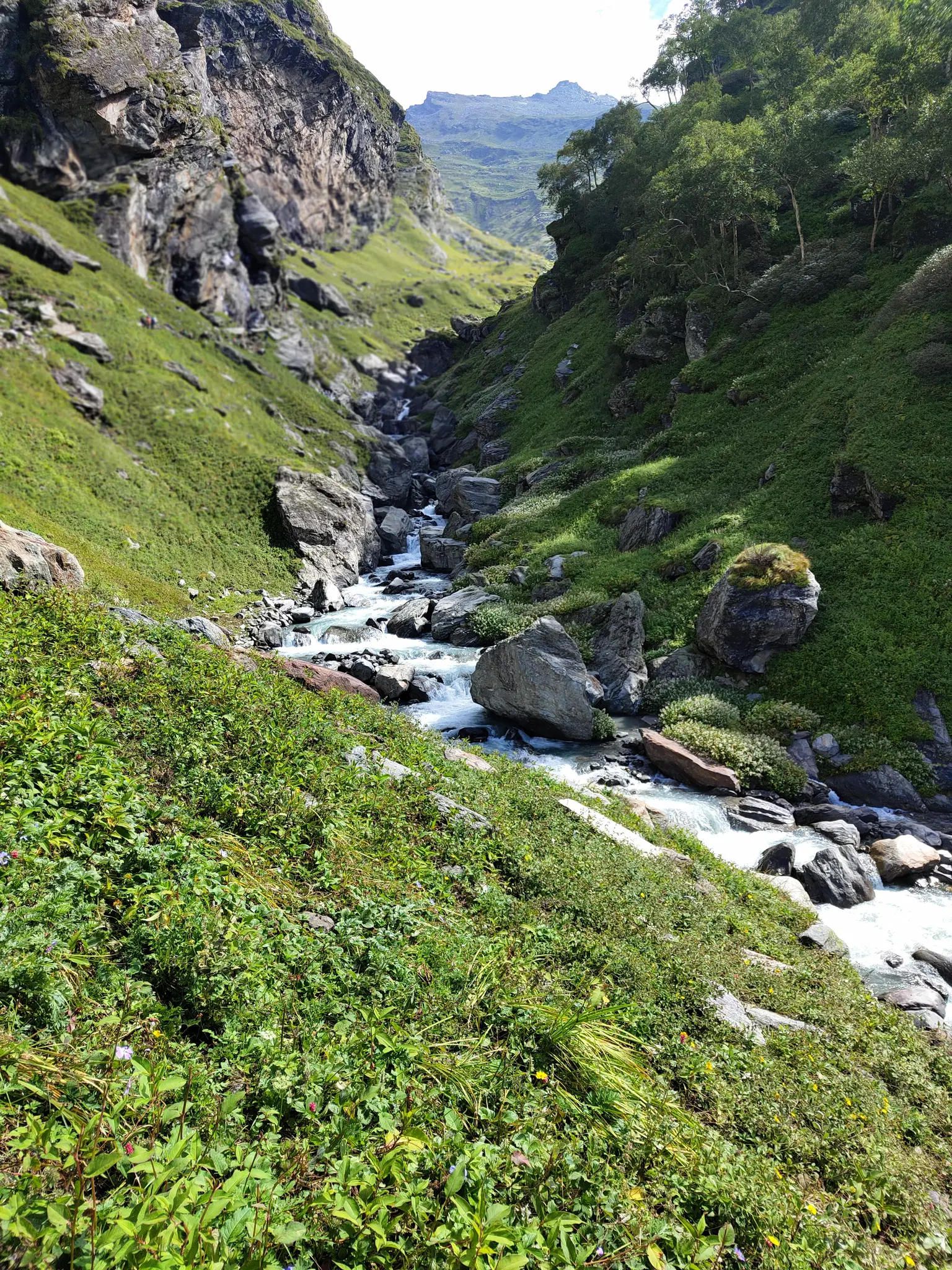 Photo from Piyush Mehta's trip