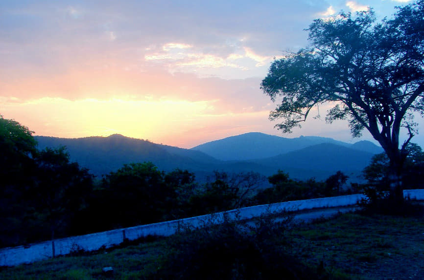 Mysore Safari Tour Image