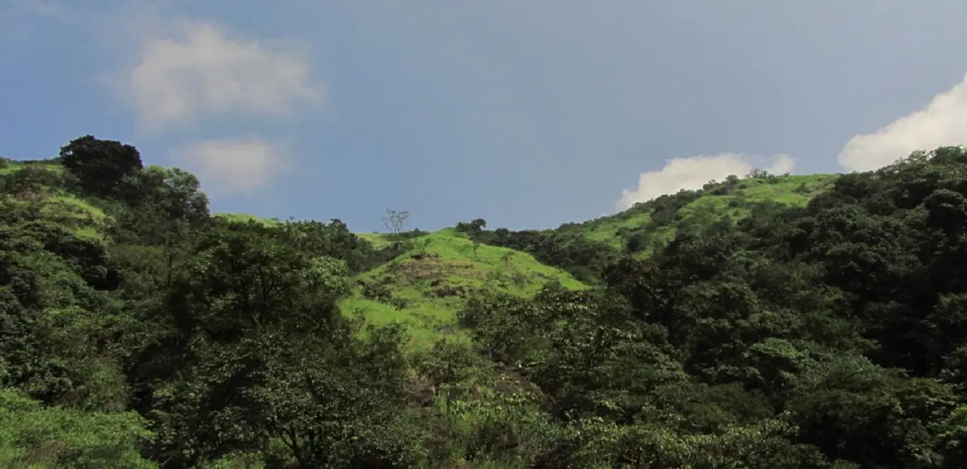 Top Experiences In Sakleshpur