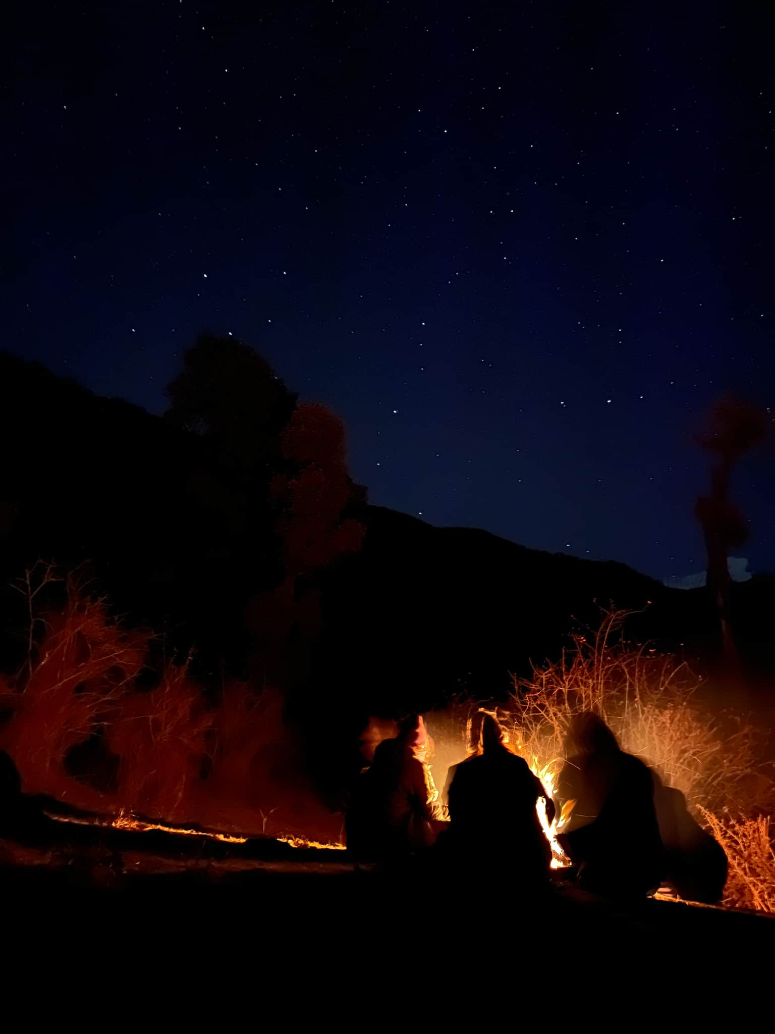 Photo from Sathish  Kumar 's trip