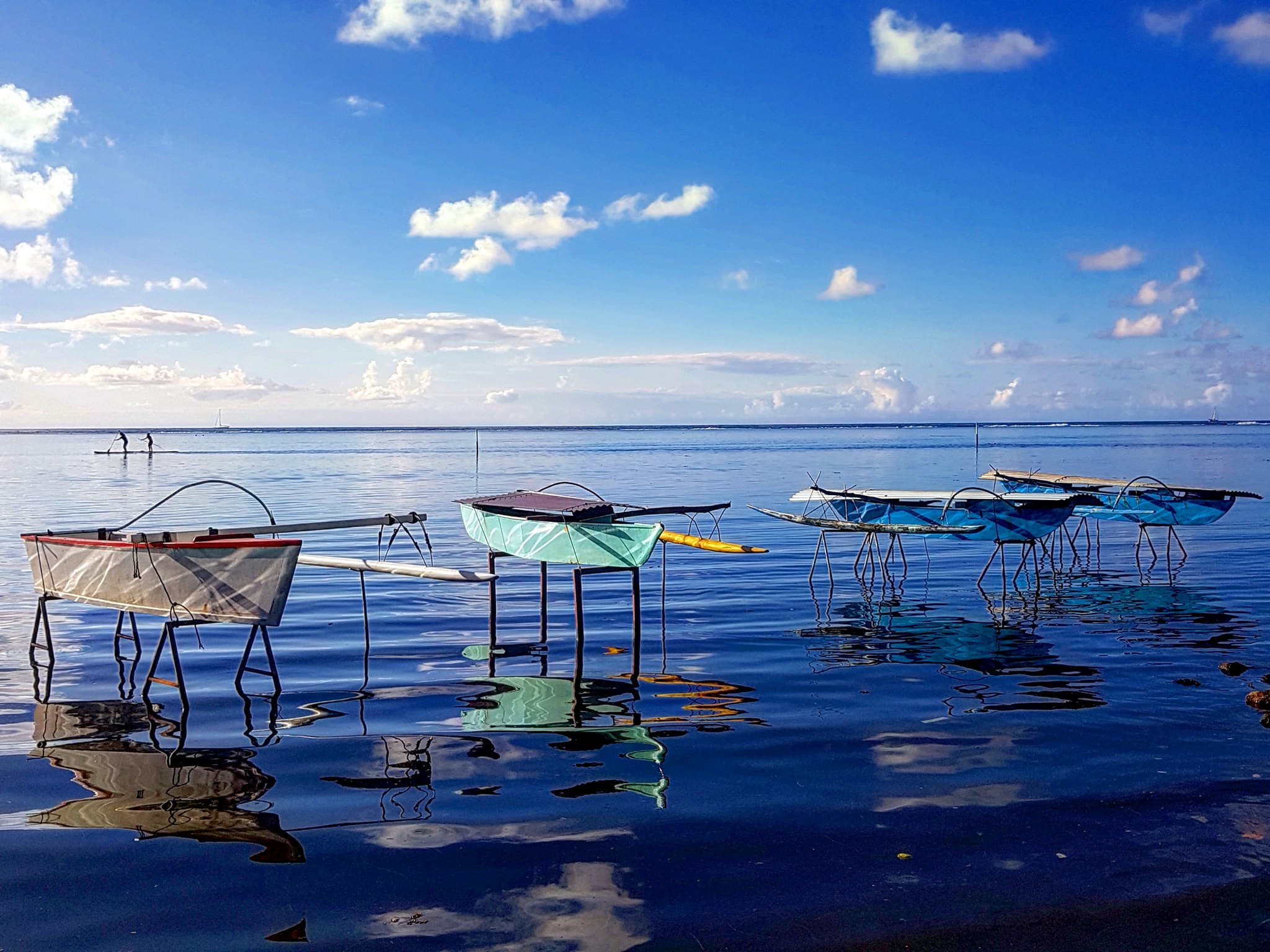 Pointe Venus Overview