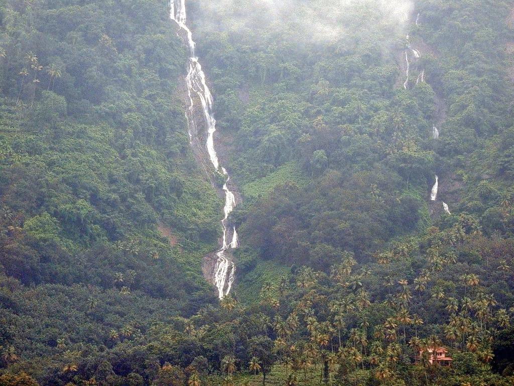 Explore numerous treks and trails