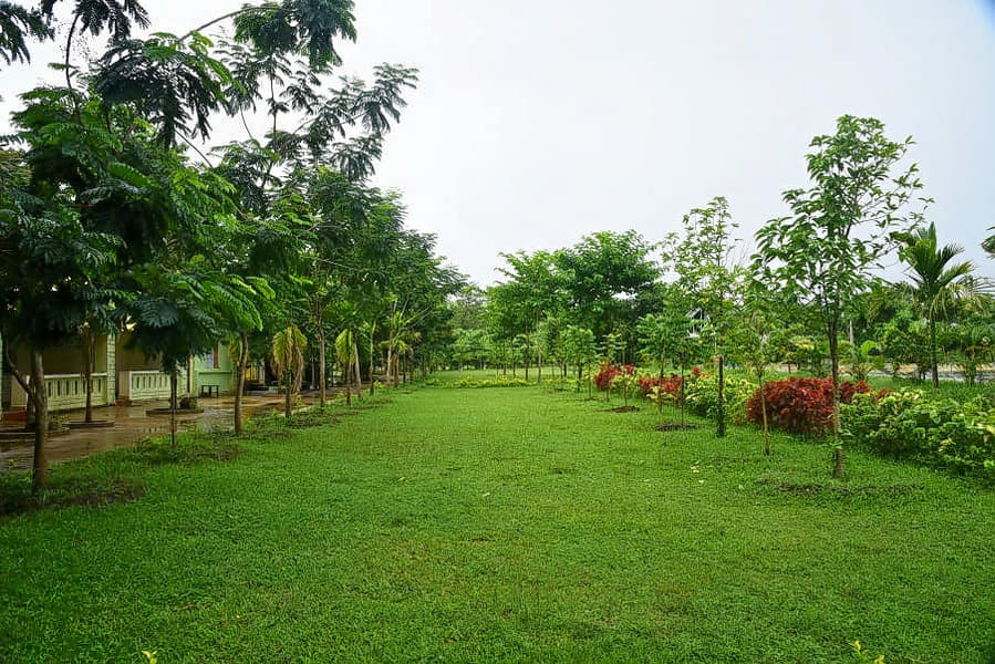 Overnight Camping at Patalpani, Indore Image