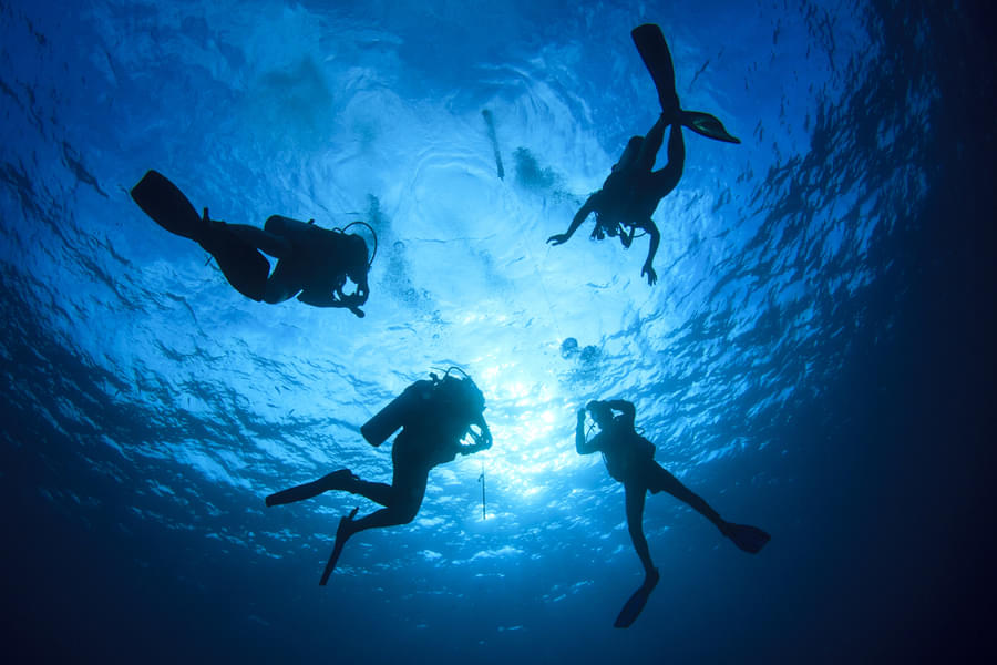 Scuba Diving In Pondicherry Image