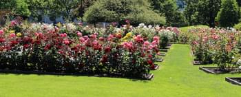 Royal Tasmanian Botanical Gardens