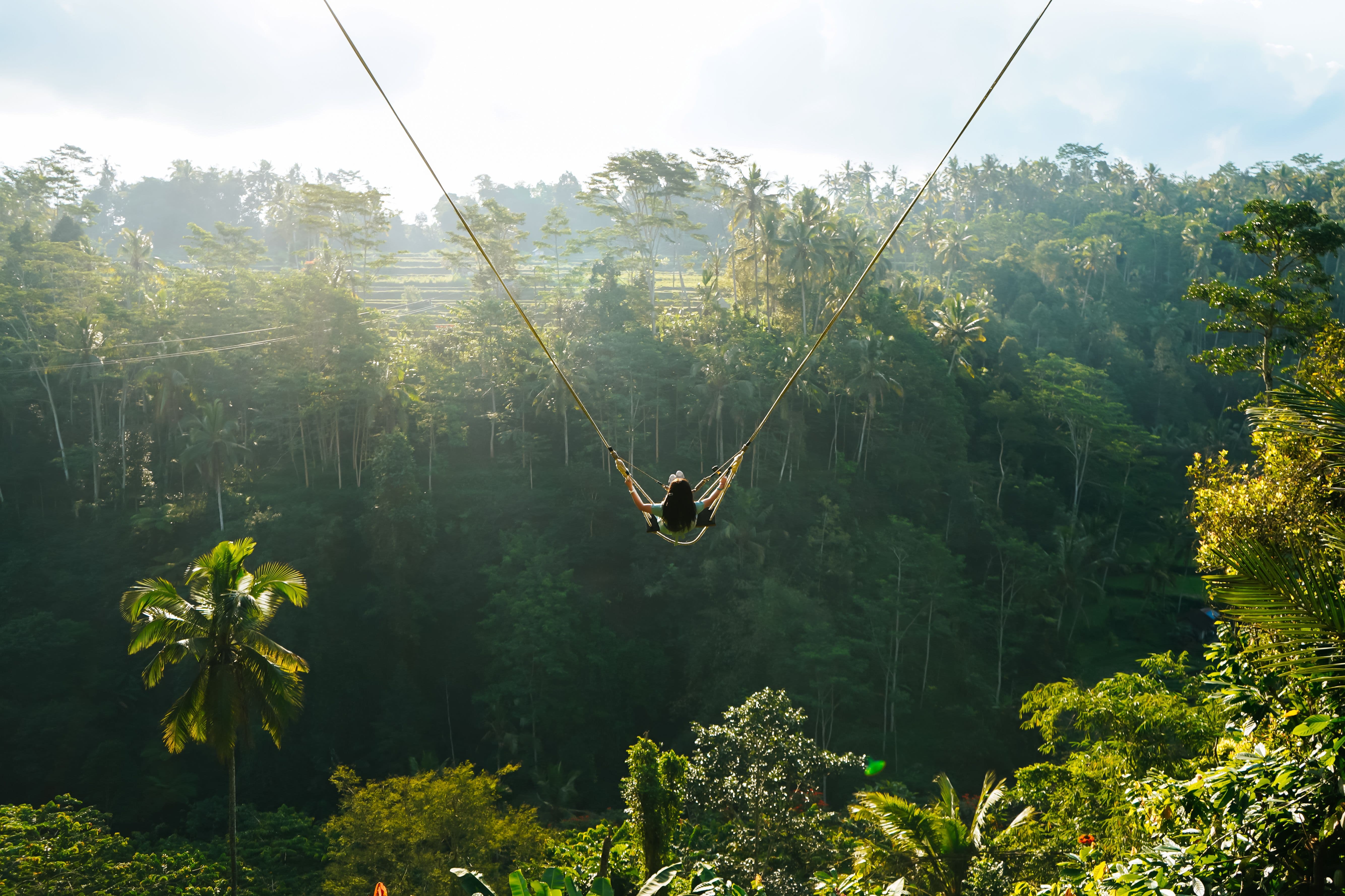 Zen Hideaway Swing