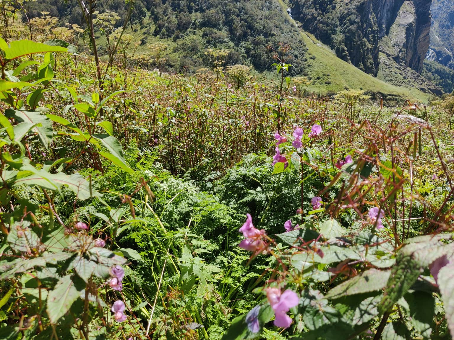 Photo from D Bhogal's trip