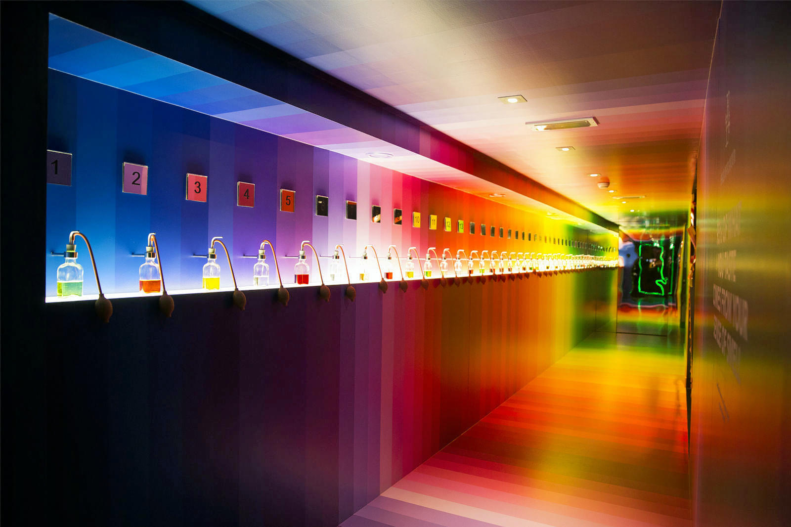 House Of Bols Overview