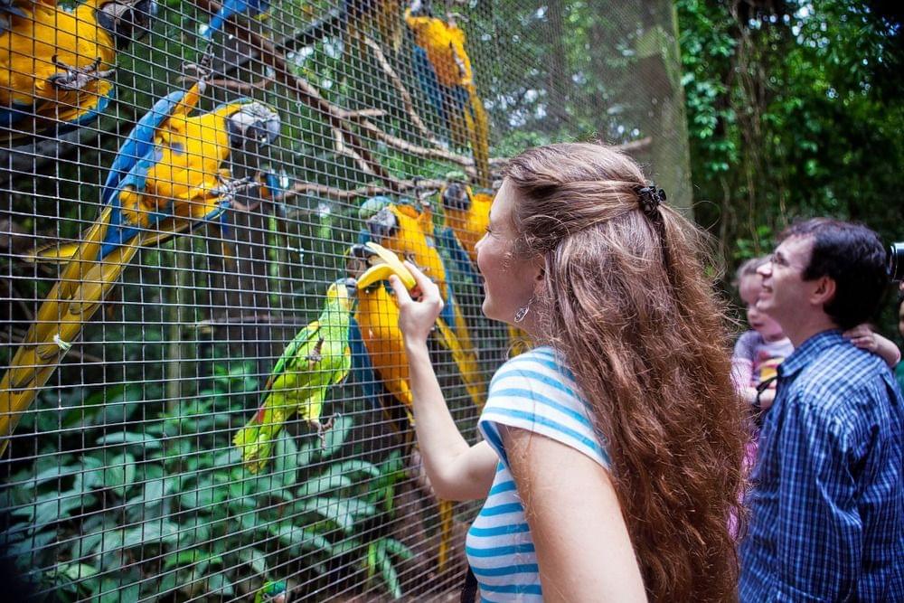 Phuket Bird Park