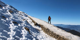 Ug7wicsk8plplrfdsnyvo95d616s shutterstock 1412537318