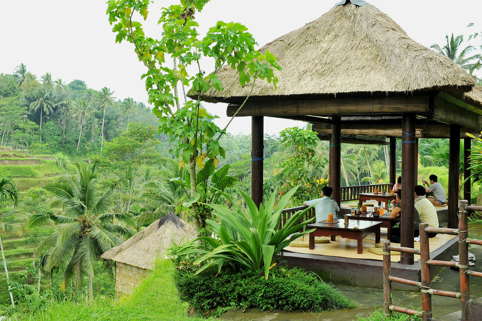 Take a coffee break at Tegalalang Rice Terrace Café