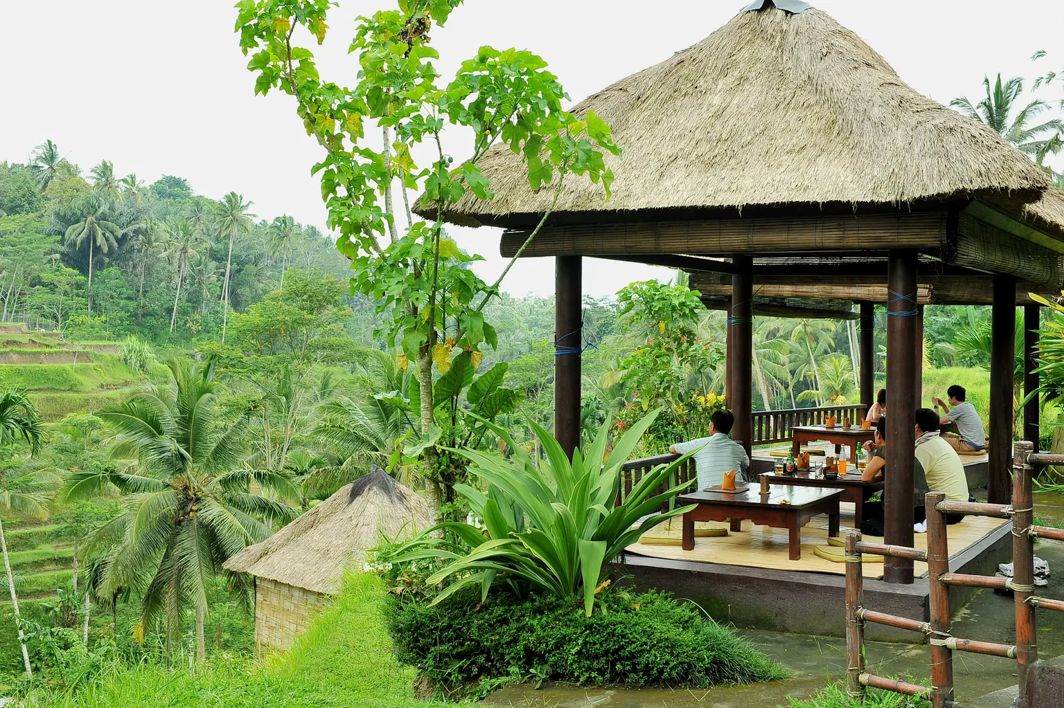 Take a coffee break at Tegalalang Rice Terrace Café