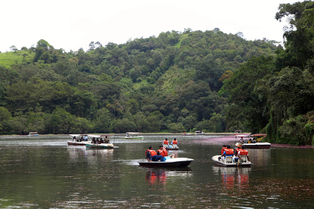 Enjoy Boating at Pookode Lake