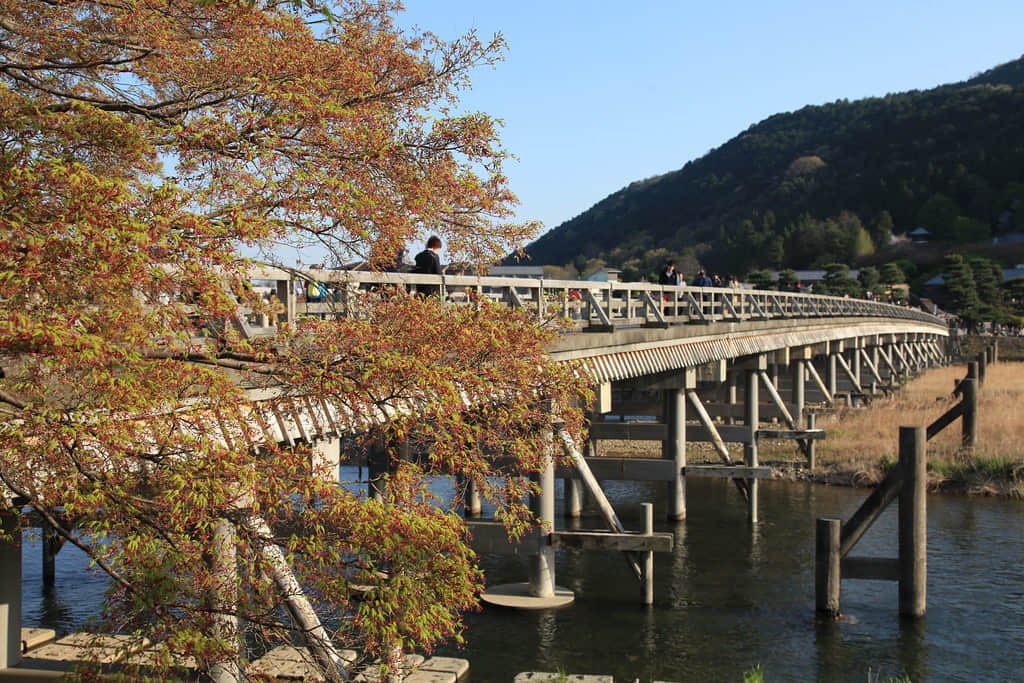 Togetsukyo bridge, <em>Kyoto</em>