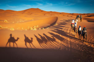 Ui01mhsjqte5fg9ehz45o5eclyjn shutterstock 1240193149