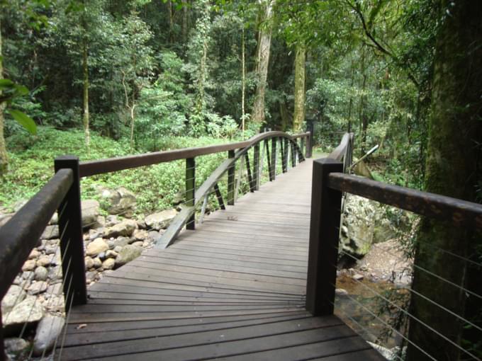 Springbrook National Park Camping