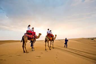 Explore serene dunes of Khuri on a camel safari