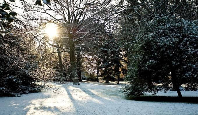 Winter Royal Botanic Garden Edinburgh