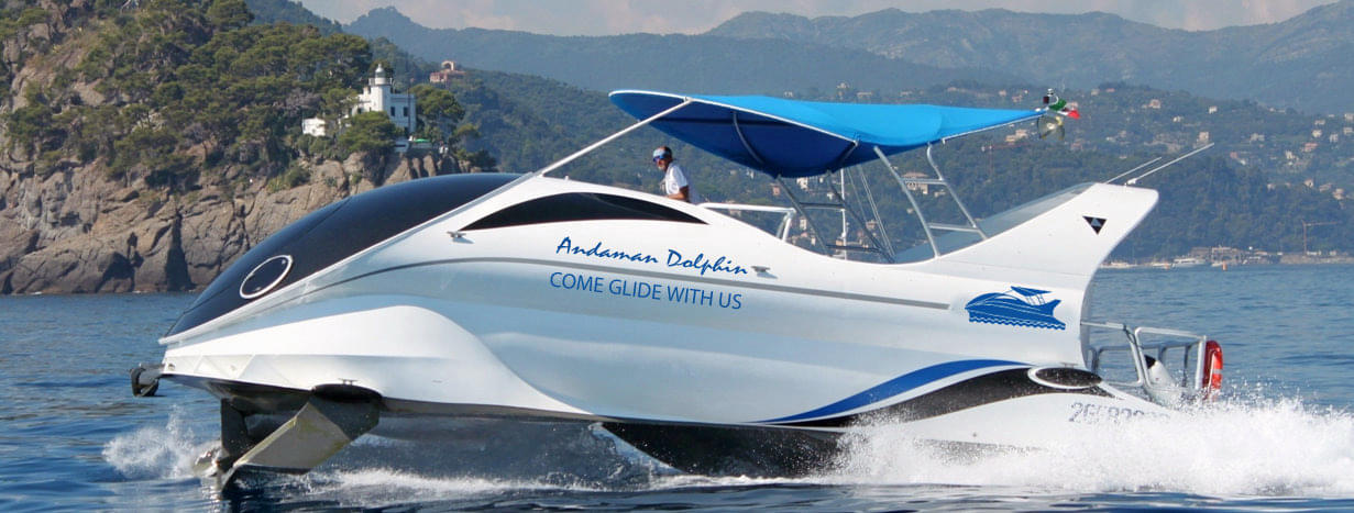 Dolphin Glass Bottom Boat Ride in Andaman