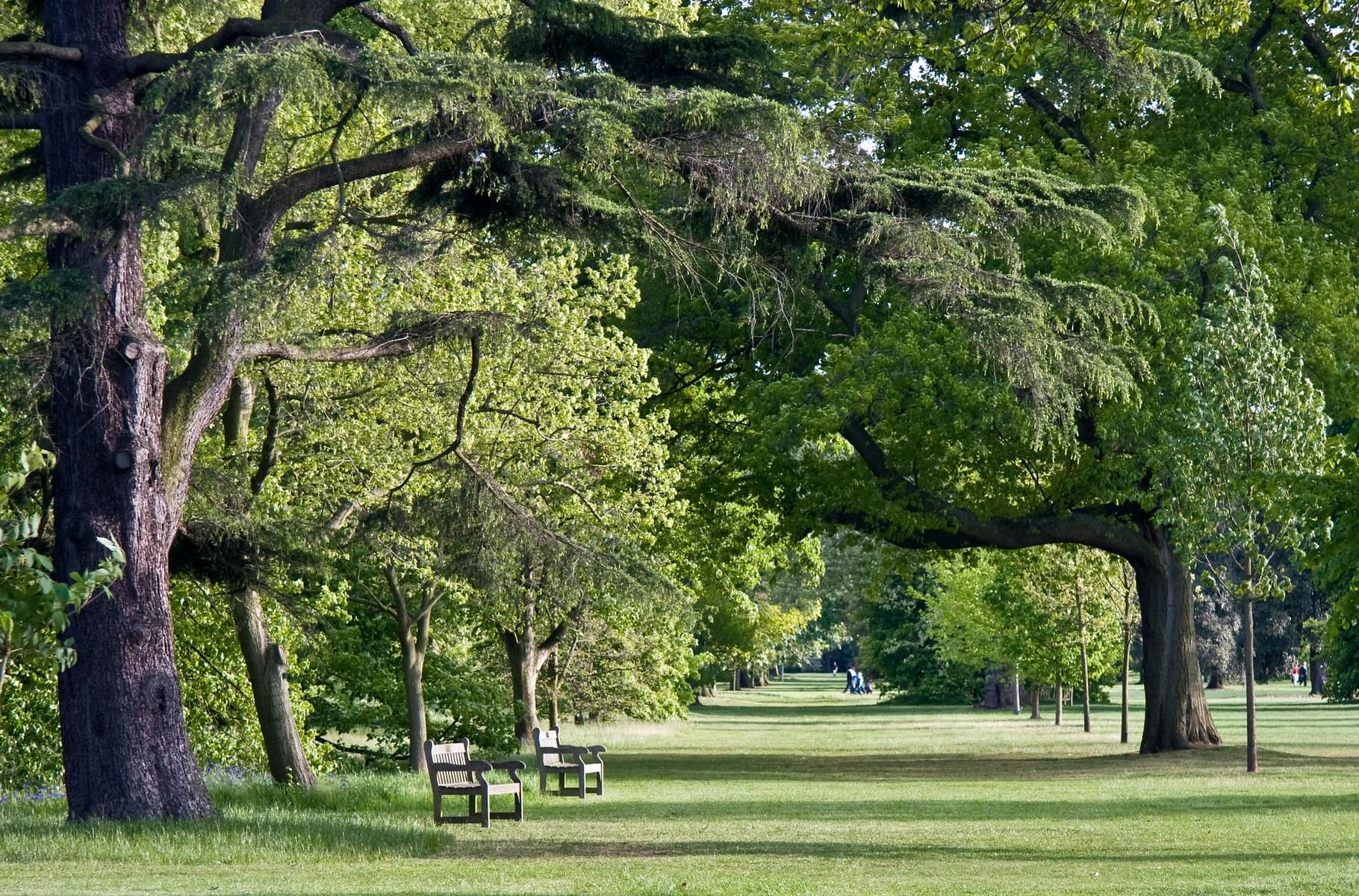 Witness The Beautiful Kew Gardens