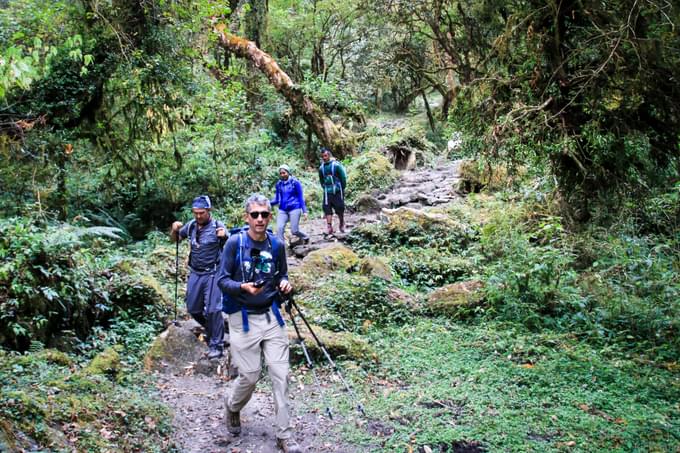 Dainkund Peak Trek