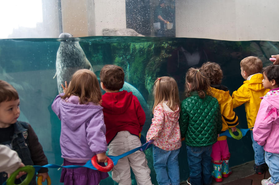 Your kids will love watching the various aquatic animals