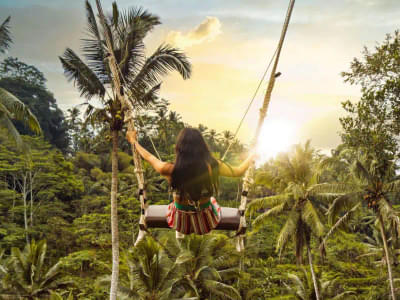 Get a bird's-eye view of the jungle canopy as you swing with the wind