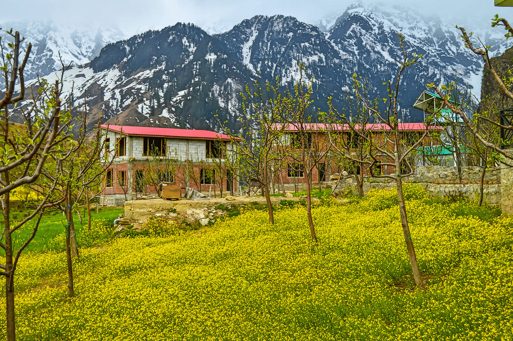 Kothi Village, <em>Himachal Pradesh</em>