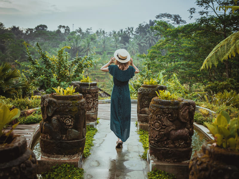 Ubud Tour with Temple and Waterfalls 