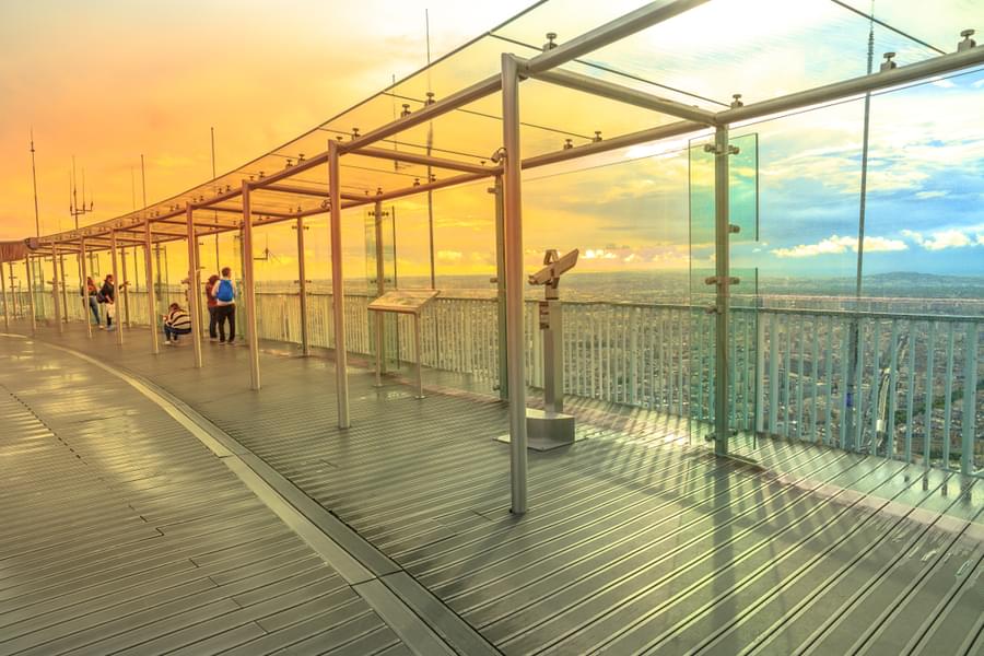 The Terrace