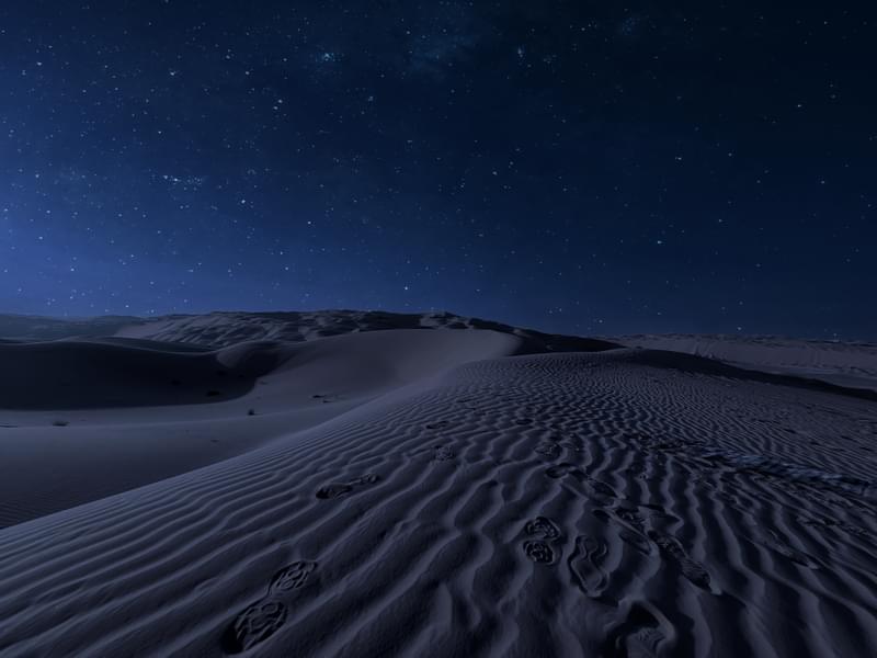 Family Dinner on Dunes Image