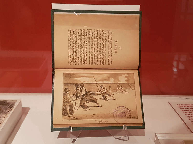 Explore the Museum’s Library