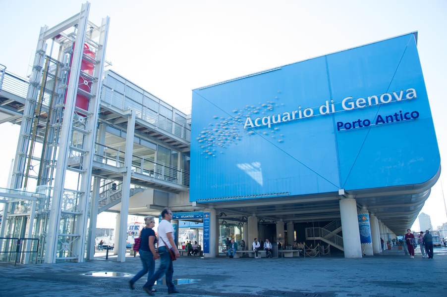 Plan your visit to the famous Aquarium of Genoa, largest aquarium in Europe